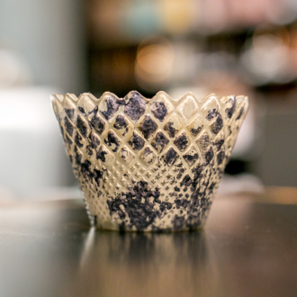 Candela Reptile Bassa