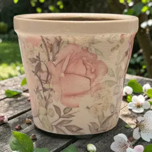 vaso-rose piccolo